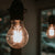 led bulb.jpg