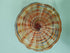 Multicolor Spiral Wave Murano Style Glass Wall Flower Decor D12"
