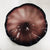 Hand Blown Murano Glass Wall Plates Wall Flowers Wall Decor For Wall Decoration