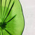 Hand Blown Murano Glass Wall Plates Clear Green Color D12Inches