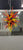 Chihuly Style Blown Glass Chandelier - Longree