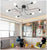 8 light linear chandelier.jpg