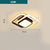Modern Minimalist Style Interior LED Ceiling Lamp For Corridor Or Entrance