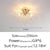 Crystal Chandelier Dandelion Starburst Shape LED Pendant Lighting