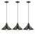 Modern Pendant Light Industrial Edison Home Decorative Ornament