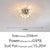 Crystal Chandelier Dandelion Starburst Shape LED Pendant Lighting