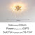 Crystal Chandelier Dandelion Starburst Shape LED Pendant Lighting