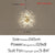 Crystal Chandelier Dandelion Starburst Shape LED Pendant Lighting
