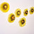 Blossoming Sunflower 2 Layers Plates Hand Blown Glass Wall Plates Art Decor Luxury Wall Hanging Plates Set