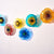Blossoming Lotus Flower 2 Layers Plates Hand Blown Glass Wall Plates Art Decor Luxury Wall Hanging Plates Set 