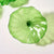 Hand Blown Glass Wall Plate Wall Art Wall Flower Home Decor Custom Made Clear Green Set LRP007