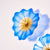 Hand Blown Glass Wall Plate Wall Art Wall Flower Home Decor Custom made Set