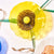 Blossoming Lotus Flower Mixed Colors Plates Hand Blown Glass Wall Plates Art Decor Luxury Wall Hanging Plates Set